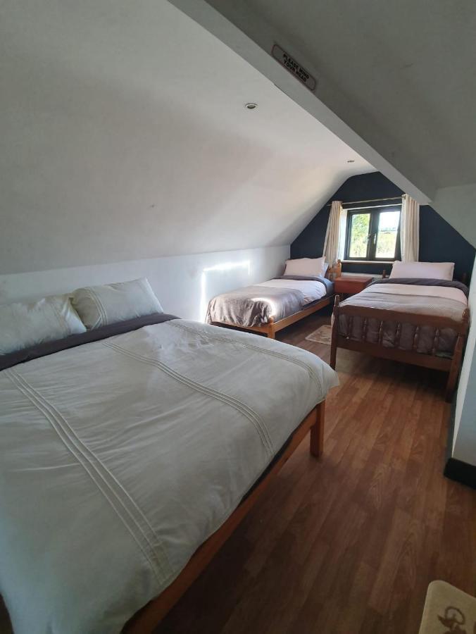 North Lodge Self Contained Guest Accommodations Kilkea Bagian luar foto