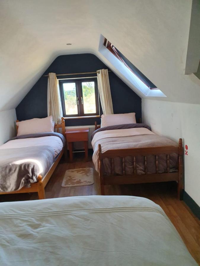 North Lodge Self Contained Guest Accommodations Kilkea Bagian luar foto